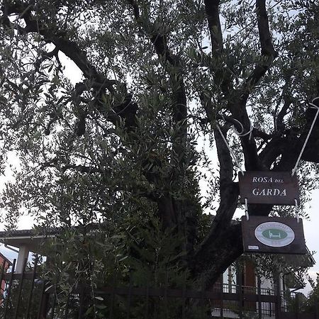 B&B Rosa Del Garda Лацизе Екстериор снимка